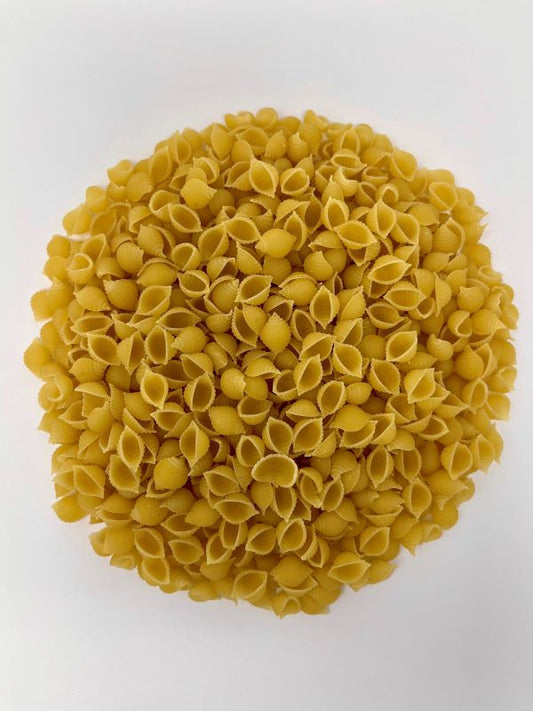 Conchiglie blé blanc bio  - 1