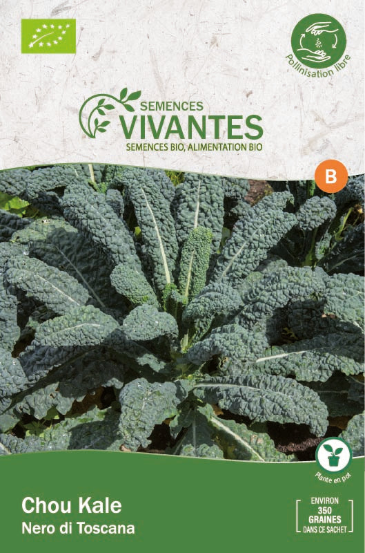 Semences Vivantes -- Chou kale nero di toscana bio - Sachet de 350 graines